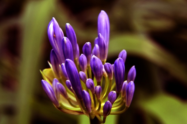 爱游戏官方网站-爱游戏aiyouxi(中国)